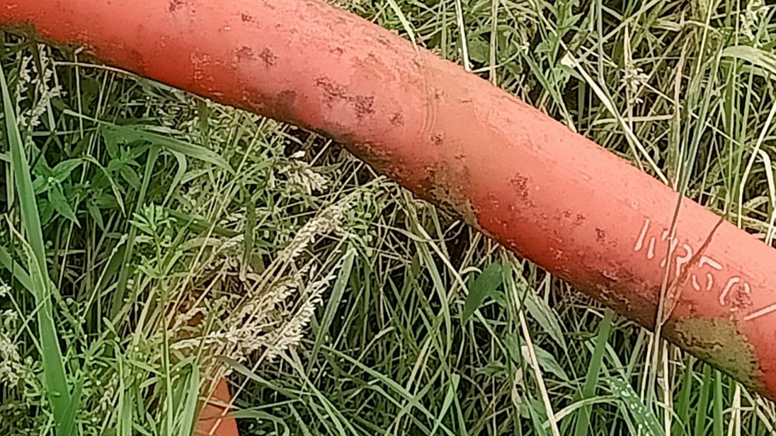 Sonstige Getreidelagertechnik του τύπου Sonstige MK 80-61 18 m, Gebrauchtmaschine σε Egtved (Φωτογραφία 6)