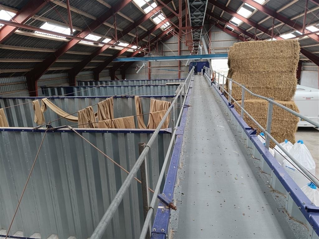 Sonstige Getreidelagertechnik des Typs Sonstige Planlager ca. 700 m2, Gebrauchtmaschine in Egtved (Bild 6)