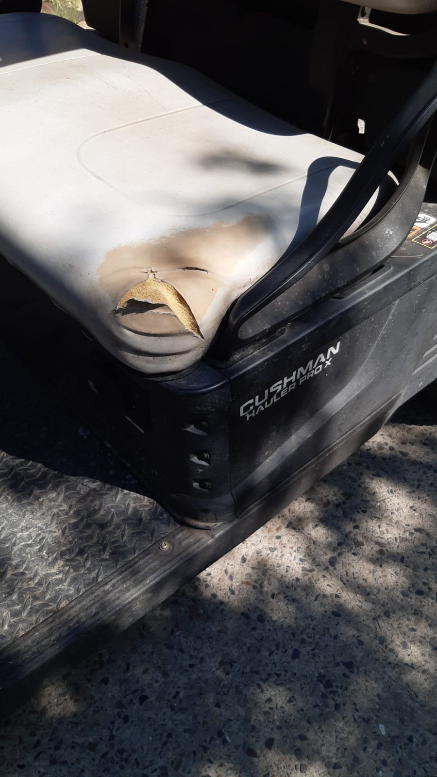 Sonstige Golftechnik typu Cushman Turf-Truckster, Gebrauchtmaschine v Crivitz (Obrázek 6)