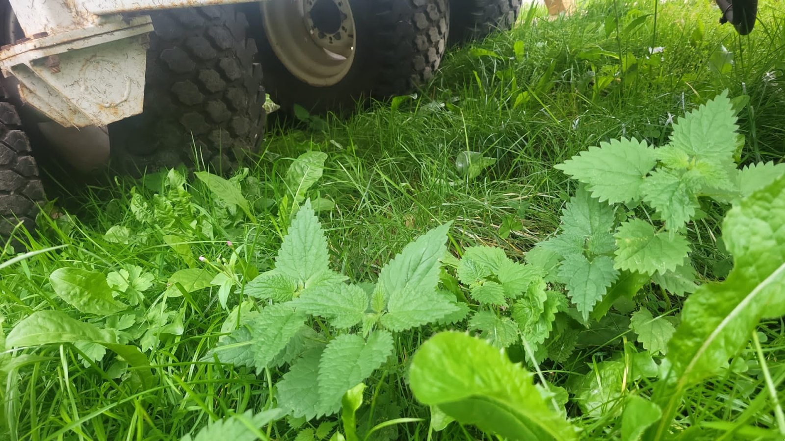 Sonstige Golftechnik typu Dakota 440 Sand Streuer, Gebrauchtmaschine v Crivitz (Obrázek 4)