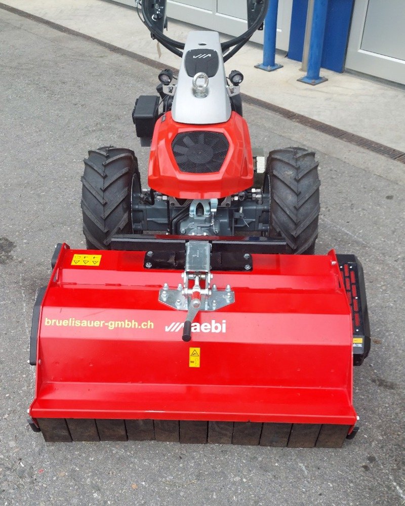 Sonstige Grünlandtechnik & Futtererntetechnik tip Köppl SMK 100/Aebi, Ausstellungsmaschine in Eichberg (Poză 2)