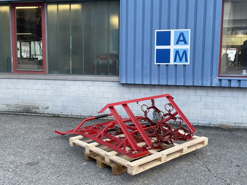 Sonstige Grünlandtechnik & Futtererntetechnik of the type Rapid WS300 Wiesenegge, Ausstellungsmaschine in Chur (Picture 2)