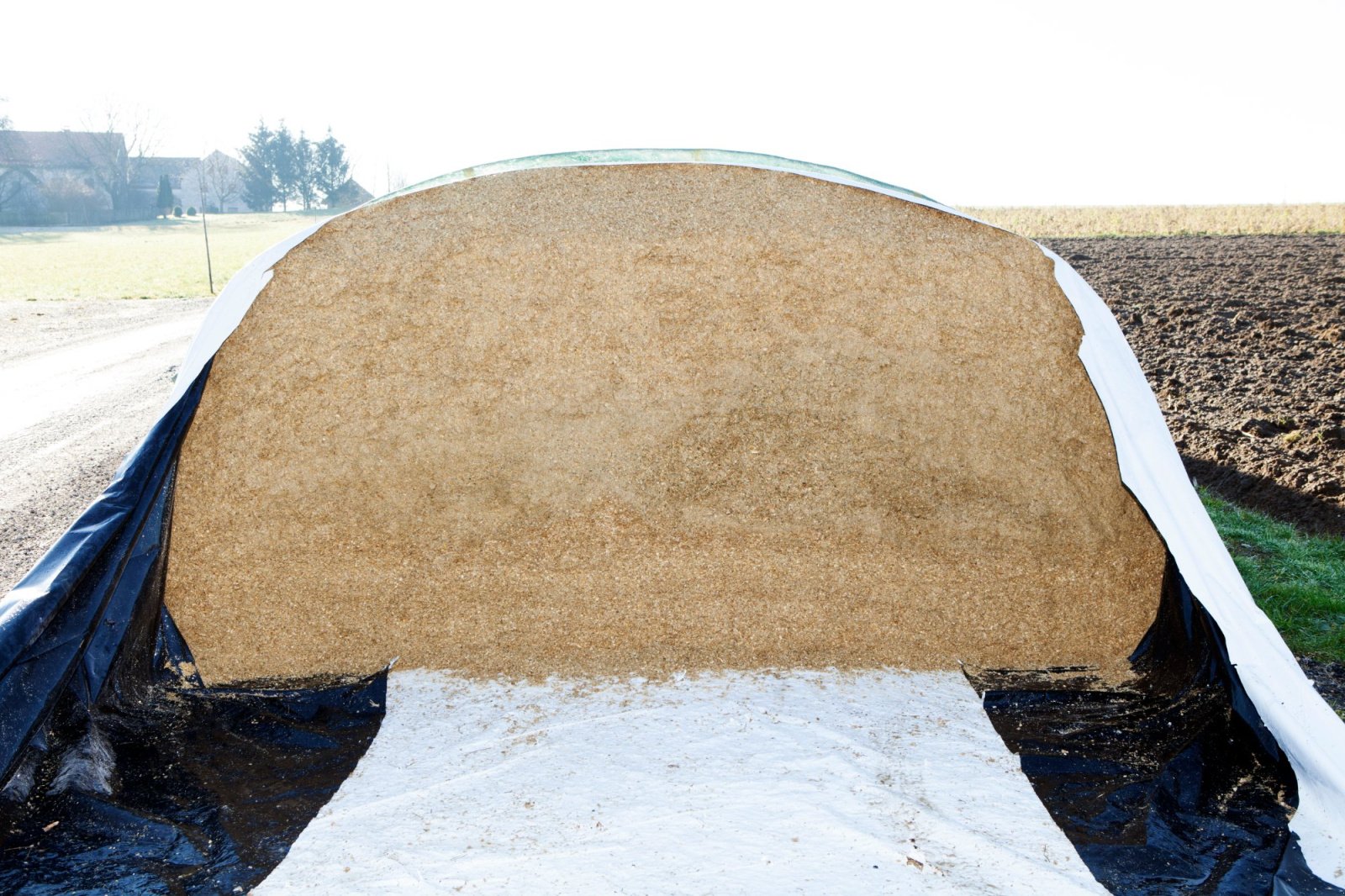 Sonstige Grünlandtechnik & Futtererntetechnik του τύπου Silospeed Silospeed G430, Neumaschine σε Hochburg Ach (Φωτογραφία 6)