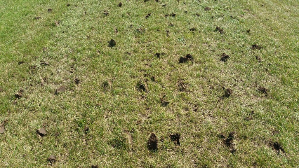 Sonstige Grünlandtechnik & Futtererntetechnik of the type Sonstige Agrotipa  SoilAerator ASA 300, Neumaschine in Roudnice nad Labem (Picture 7)