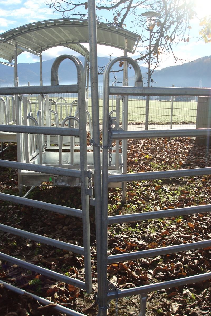 Sonstige Grünlandtechnik & Futtererntetechnik of the type Sonstige Weidepanel - Trennwand - Weidetor - Trennwandtor, Neumaschine in Judenburg (Picture 2)