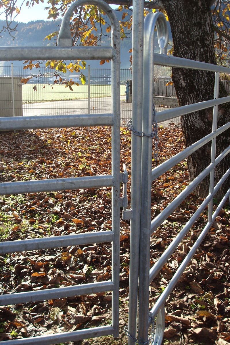 Sonstige Grünlandtechnik & Futtererntetechnik of the type Sonstige Weidepanel - Trennwand - Weidetor - Trennwandtor, Neumaschine in Judenburg (Picture 7)