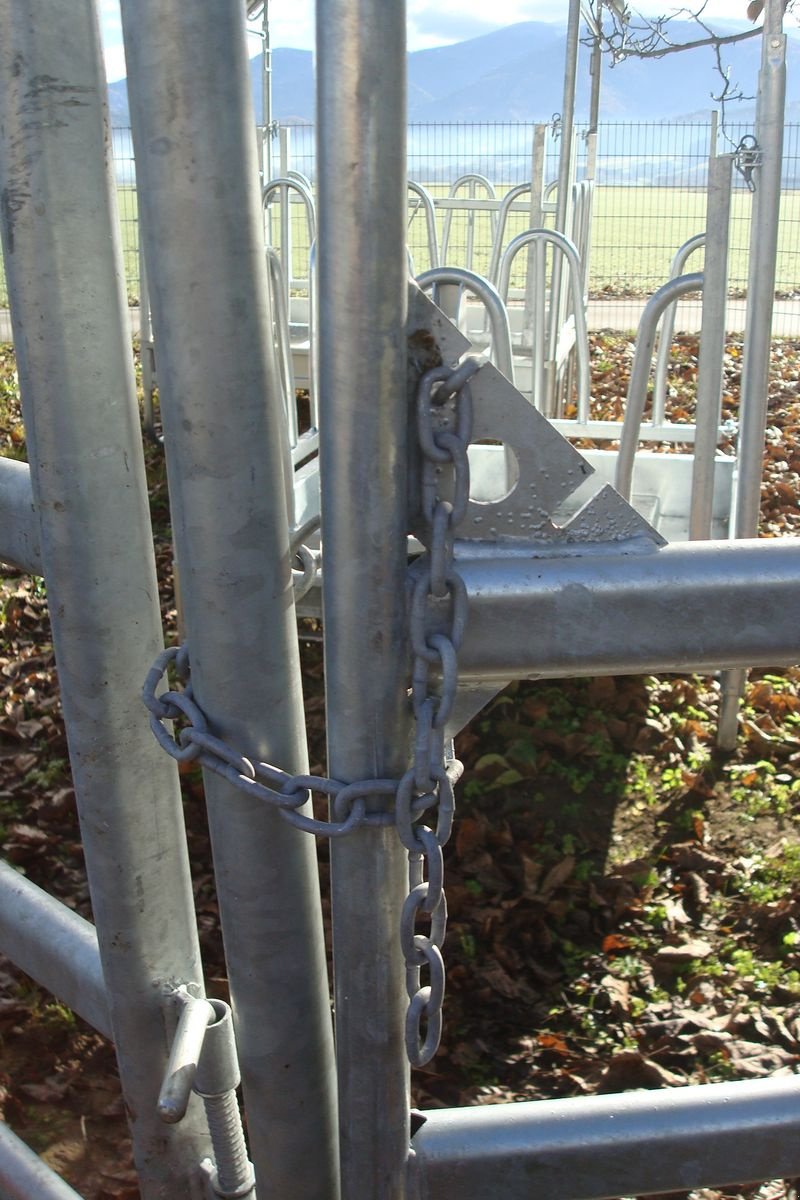 Sonstige Grünlandtechnik & Futtererntetechnik of the type Sonstige Weidepanel - Trennwand - Weidetor - Trennwandtor, Neumaschine in Judenburg (Picture 3)