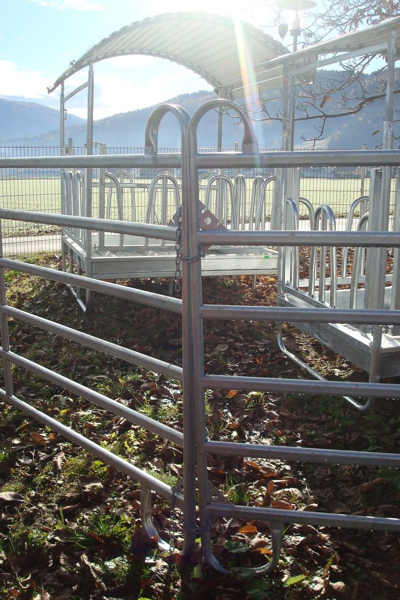 Sonstige Grünlandtechnik & Futtererntetechnik of the type Sonstige Weidepanel - Trennwand - Weidetor - Trennwandtor, Neumaschine in Judenburg (Picture 9)