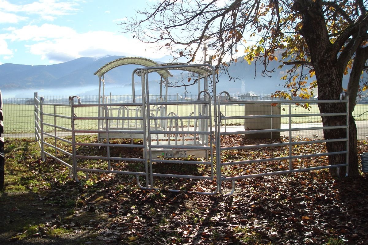 Sonstige Grünlandtechnik & Futtererntetechnik of the type Sonstige Weidepanel - Trennwand - Weidetor - Trennwandtor, Neumaschine in Judenburg (Picture 1)