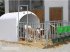Sonstige Hoftechnik des Typs Kerbl AKTION-Kälberhütte Calf House  4/5 frei Haus, Neumaschine in Eberschwang (Bild 8)