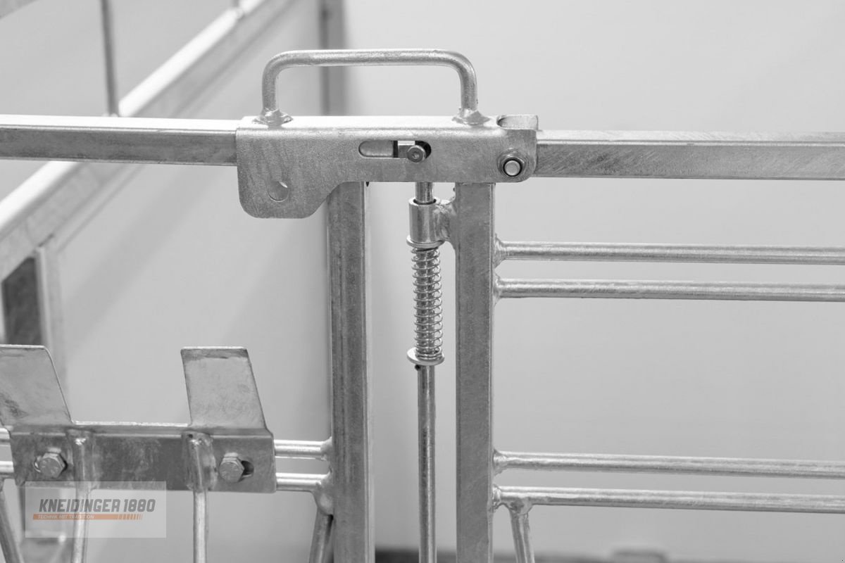 Sonstige Hoftechnik типа Kerbl Kälberbox Groß, Neumaschine в Altenfelden (Фотография 10)
