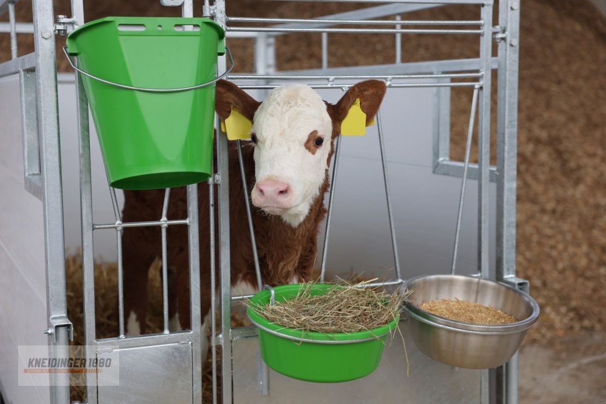 Sonstige Hoftechnik типа Kerbl Kälberbox Groß, Neumaschine в Altenfelden (Фотография 8)