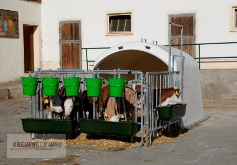Sonstige Hoftechnik des Typs Kerbl Kälberiglu CalfHouse Premium XL (14520 ), Neumaschine in Altenfelden (Bild 1)