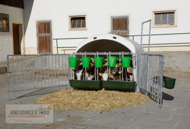 Sonstige Hoftechnik des Typs Kerbl Kälberiglu CalfHouse Premium XL (14520 ), Neumaschine in Altenfelden (Bild 8)