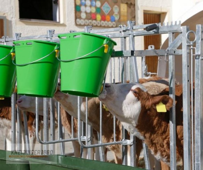 Sonstige Hoftechnik des Typs Kerbl Kälberiglu CalfHouse Premium XL (14520 ), Neumaschine in Altenfelden (Bild 5)