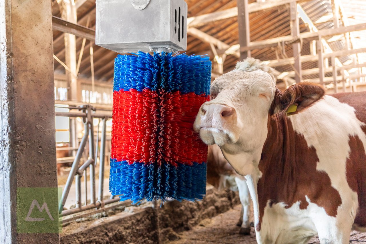 Sonstige Hoftechnik des Typs Kerbl Kerbl Kuhputzmaschine HAPPYCOW MidiSwing (kostenlose Lieferung), Neumaschine in Weiz (Bild 4)