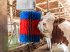 Sonstige Hoftechnik des Typs Kerbl Kerbl Kuhputzmaschine HAPPYCOW MidiSwing (kostenlose Lieferung), Neumaschine in Weiz (Bild 4)