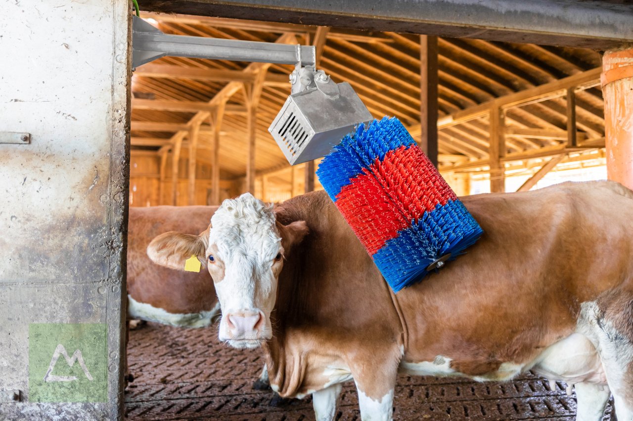 Sonstige Hoftechnik des Typs Kerbl Kerbl Kuhputzmaschine HAPPYCOW MidiSwing (kostenlose Lieferung), Neumaschine in Weiz (Bild 5)