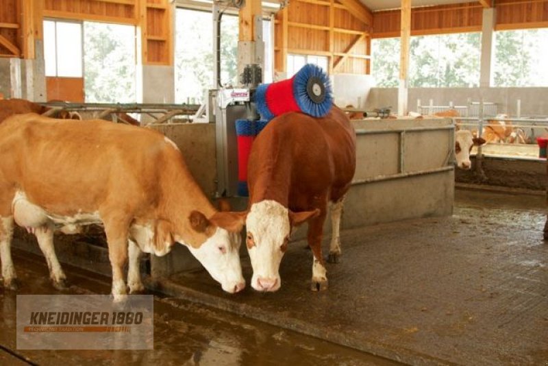 Sonstige Hoftechnik des Typs Kerbl Kuhbürste / HappyCow  ( 18820 ), Neumaschine in Altenfelden (Bild 4)
