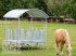 Sonstige Hoftechnik des Typs MD Landmaschinen Kellfri Heuraufe mit Dach und geschlossenen Palisadenelementen für Pferde, Neumaschine in Zeven (Bild 3)