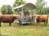 Sonstige Hoftechnik des Typs MD Landmaschinen Kellfri Heuraufe mit Palisaden für Rinder, 12 -14  Fressplätze, Neumaschine in Zeven (Bild 4)