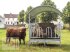 Sonstige Hoftechnik typu MD Landmaschinen Kellfri Heuraufe mit Palisaden für Rinder, 12 -14  Fressplätze, Neumaschine w Zeven (Zdjęcie 3)