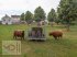 Sonstige Hoftechnik des Typs MD Landmaschinen Kellfri Heuraufe mit Palisaden für Rinder, 12 -14  Fressplätze, Neumaschine in Zeven (Bild 9)