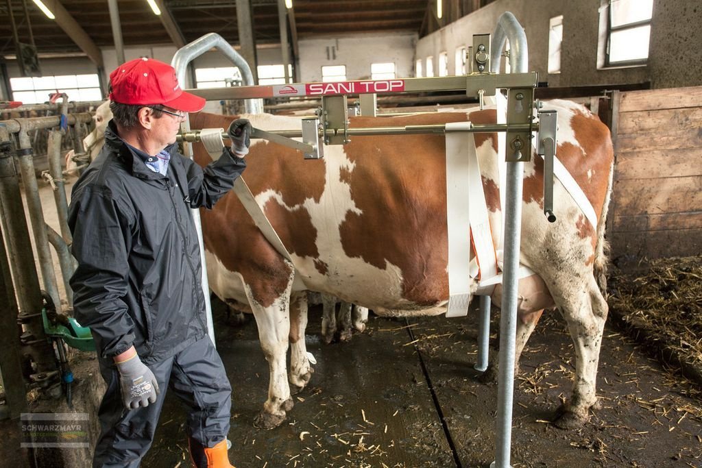 Sonstige Hoftechnik Türe ait Rosensteiner Sani Top 5, Neumaschine içinde Gampern (resim 7)