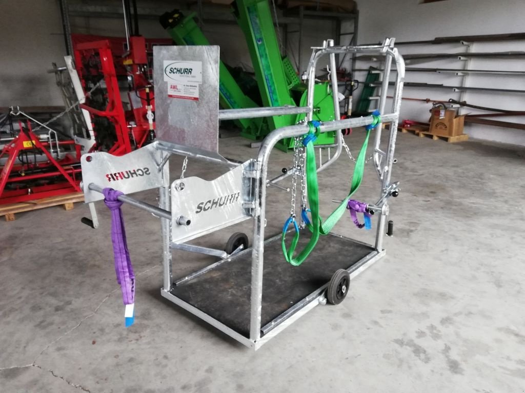 Sonstige Hoftechnik des Typs Schurr  Klauenpflegestand Neue Version, Neumaschine in Grünbach (Bild 9)