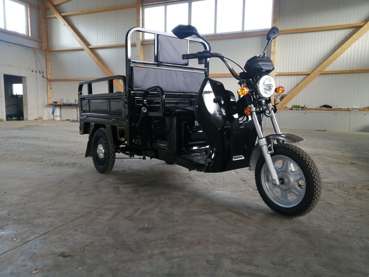 Sonstige Hoftechnik des Typs Sonstige Elektro Dreirad Advento Maxi Green/Black, Neumaschine in Hollenthon (Bild 1)