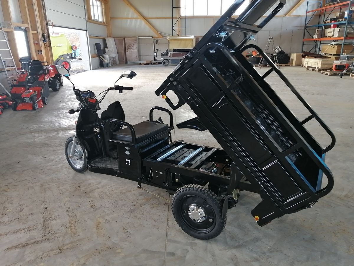 Sonstige Hoftechnik des Typs Sonstige Elektro Dreirad Advento Maxi Green/Black, Neumaschine in Hollenthon (Bild 4)