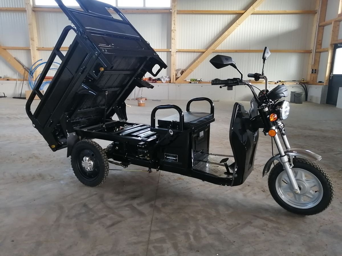 Sonstige Hoftechnik des Typs Sonstige Elektro Dreirad Advento Maxi Green/Black, Neumaschine in Hollenthon (Bild 9)