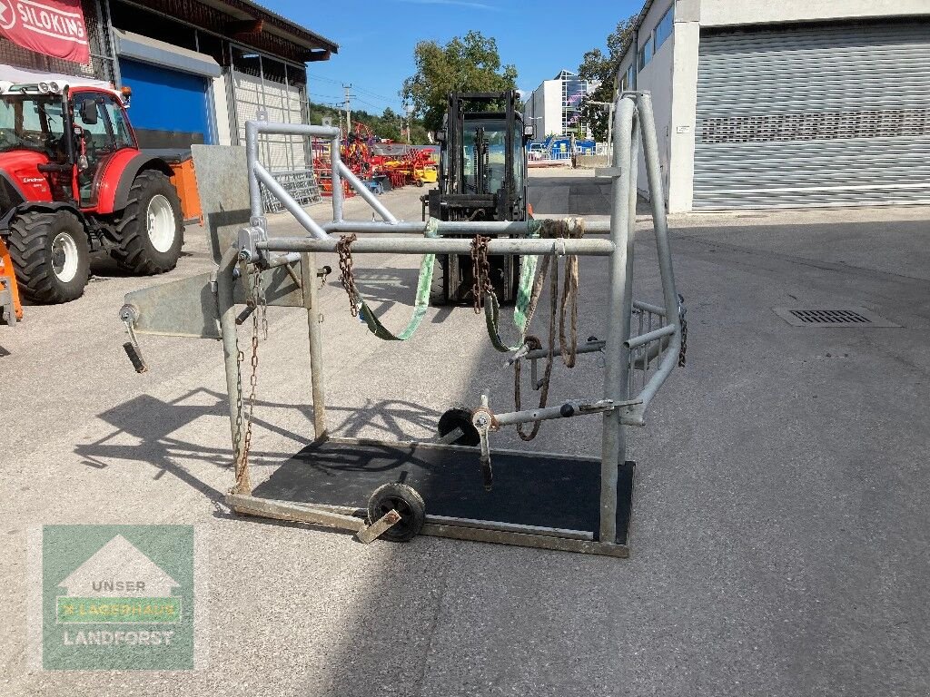 Sonstige Hoftechnik typu Sonstige Fang-&Behandlungsstand, Gebrauchtmaschine v Kapfenberg (Obrázek 4)