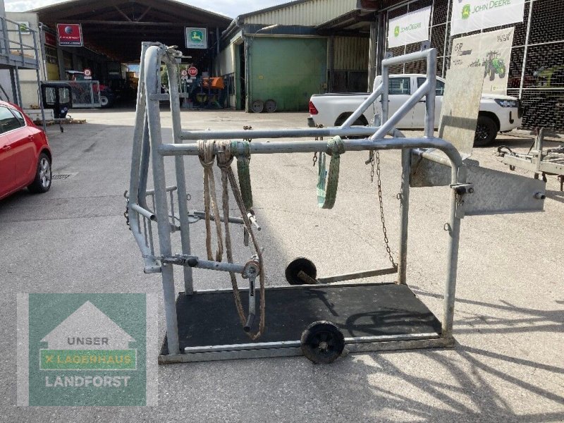 Sonstige Hoftechnik des Typs Sonstige Fang-&Behandlungsstand, Gebrauchtmaschine in Kapfenberg (Bild 1)