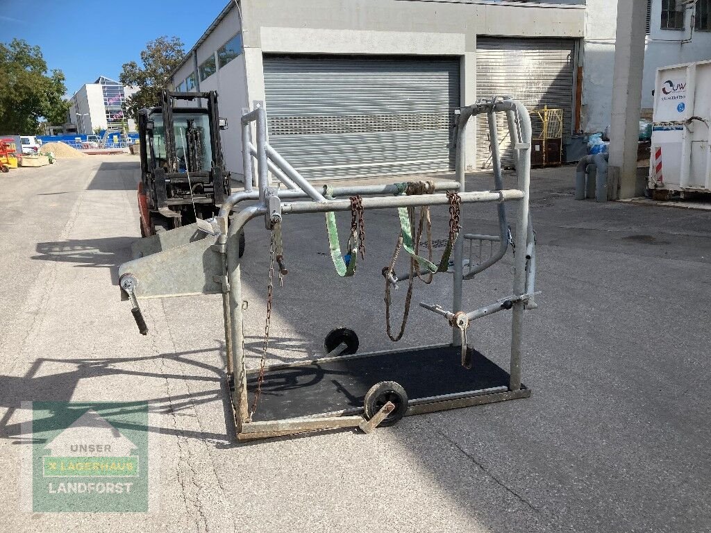 Sonstige Hoftechnik typu Sonstige Fang-&Behandlungsstand, Gebrauchtmaschine v Kapfenberg (Obrázek 5)