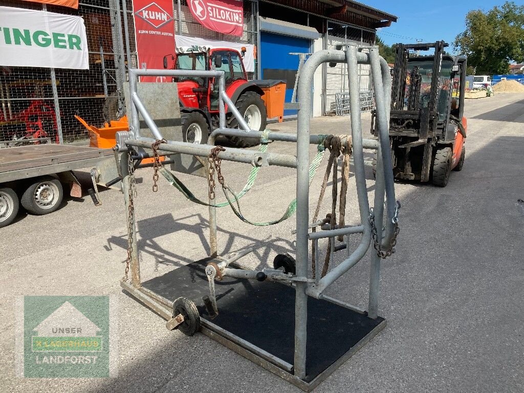 Sonstige Hoftechnik typu Sonstige Fang-&Behandlungsstand, Gebrauchtmaschine v Kapfenberg (Obrázek 3)