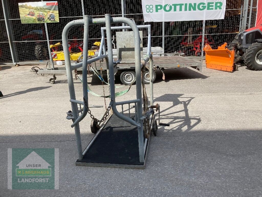 Sonstige Hoftechnik typu Sonstige Fang-&Behandlungsstand, Gebrauchtmaschine v Kapfenberg (Obrázek 8)