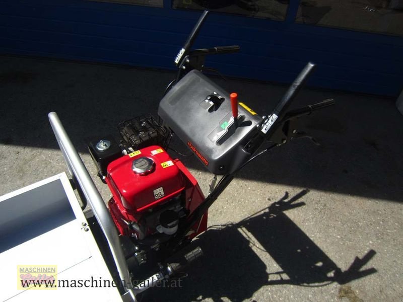 Sonstige Hoftechnik typu Sonstige Honda Allzwecktransporter HP 500, Vorführmaschine v Kötschach (Obrázek 3)