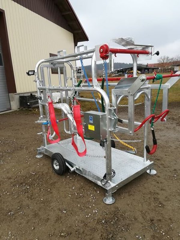 Sonstige Hoftechnik Türe ait Sonstige Klauenpflegestand, Neumaschine içinde Waldburg (resim 1)