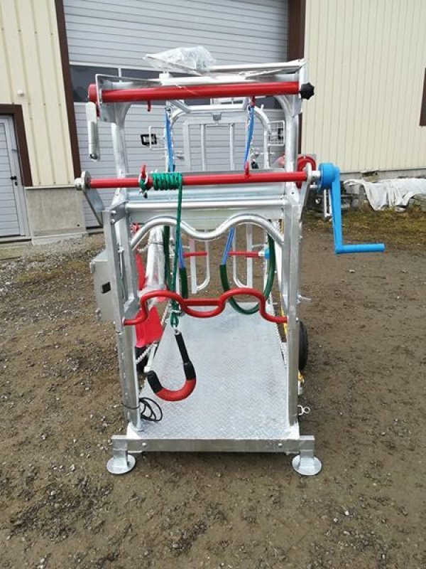 Sonstige Hoftechnik Türe ait Sonstige Klauenpflegestand, Neumaschine içinde Waldburg (resim 3)