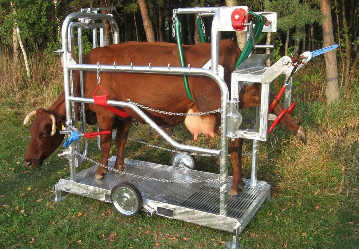 Sonstige Hoftechnik Türe ait Sonstige Klauenpflegestand, Neumaschine içinde Waldburg (resim 2)