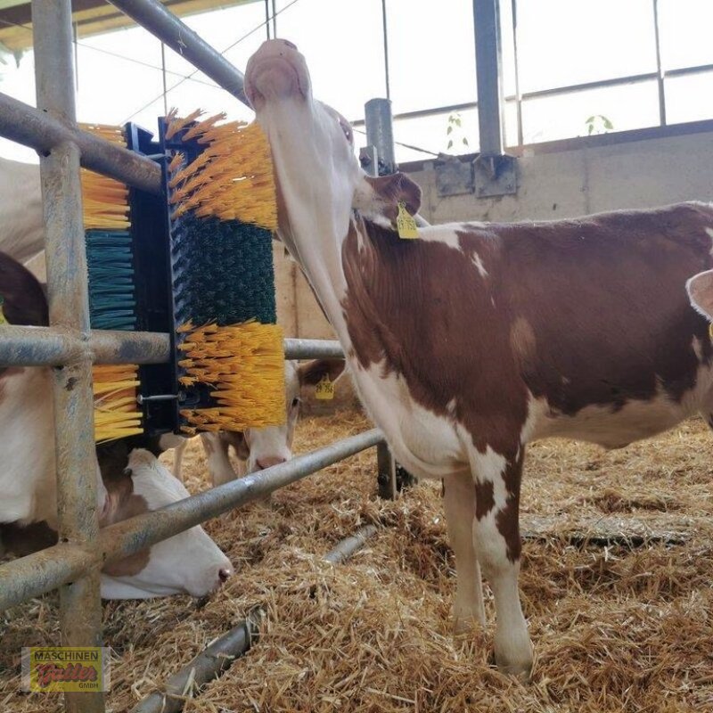 Sonstige Hoftechnik des Typs Sonstige Patura Kratzbürste Multifix AKTION, Neumaschine in Kötschach (Bild 1)