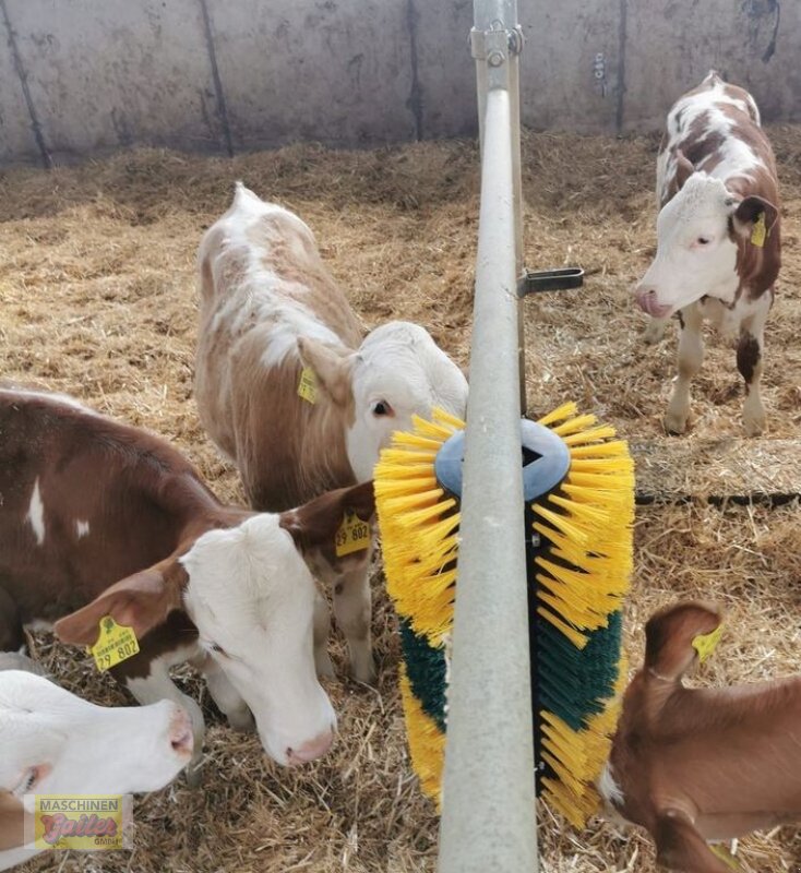 Sonstige Hoftechnik des Typs Sonstige Patura Kratzbürste Multifix AKTION, Neumaschine in Kötschach (Bild 5)