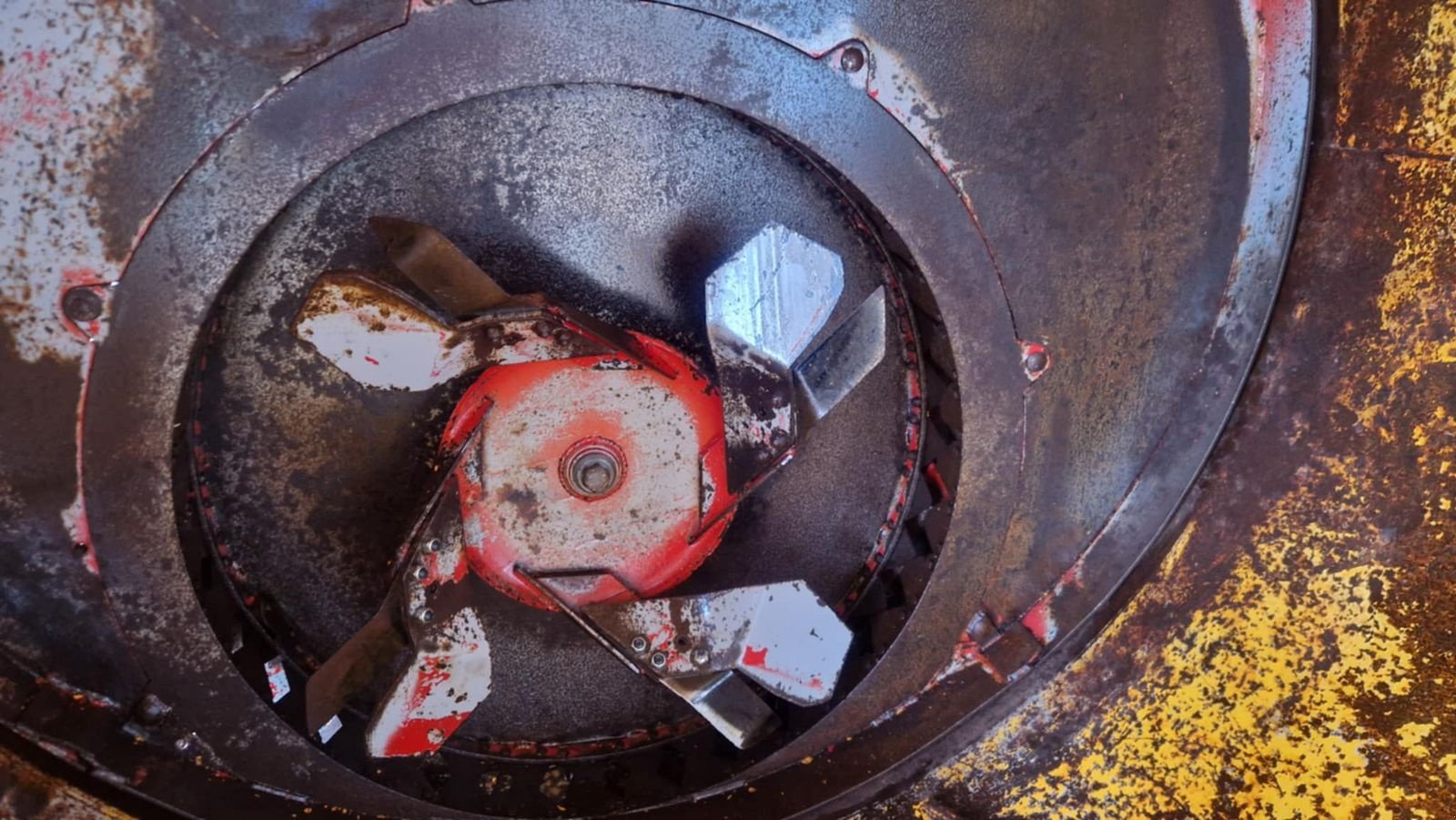 Sonstige Hoftechnik of the type Teagle Tomahawk 404, Gebrauchtmaschine in Villach/Zauchen (Picture 7)