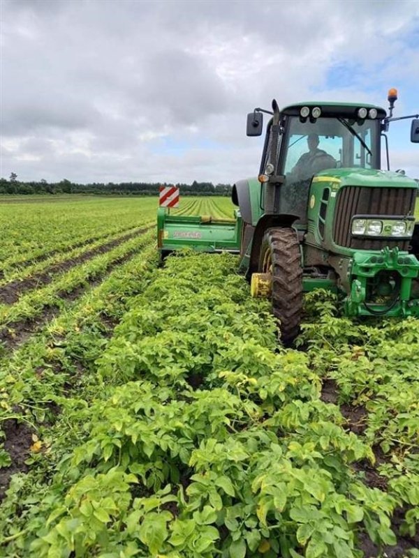 Sonstige Kartoffeltechnik от тип Baselier Topknusere med sideforskydning til front og bagmontering.., Gebrauchtmaschine в Løgumkloster (Снимка 12)