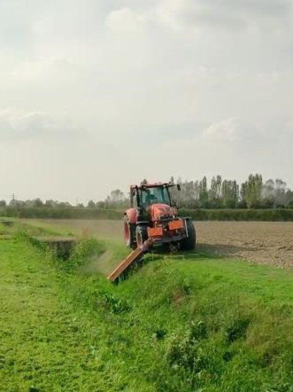 Sonstige Kartoffeltechnik типа Berti TA/MF, Gebrauchtmaschine в Jelling (Фотография 2)