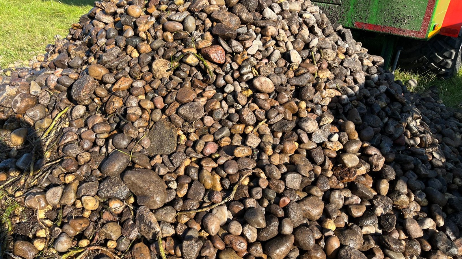 Sonstige Kartoffeltechnik tip Cross Crocodile Roe/kartoffel De-stonere og snittere op til 100 Ton/time, Gebrauchtmaschine in Løgumkloster (Poză 13)