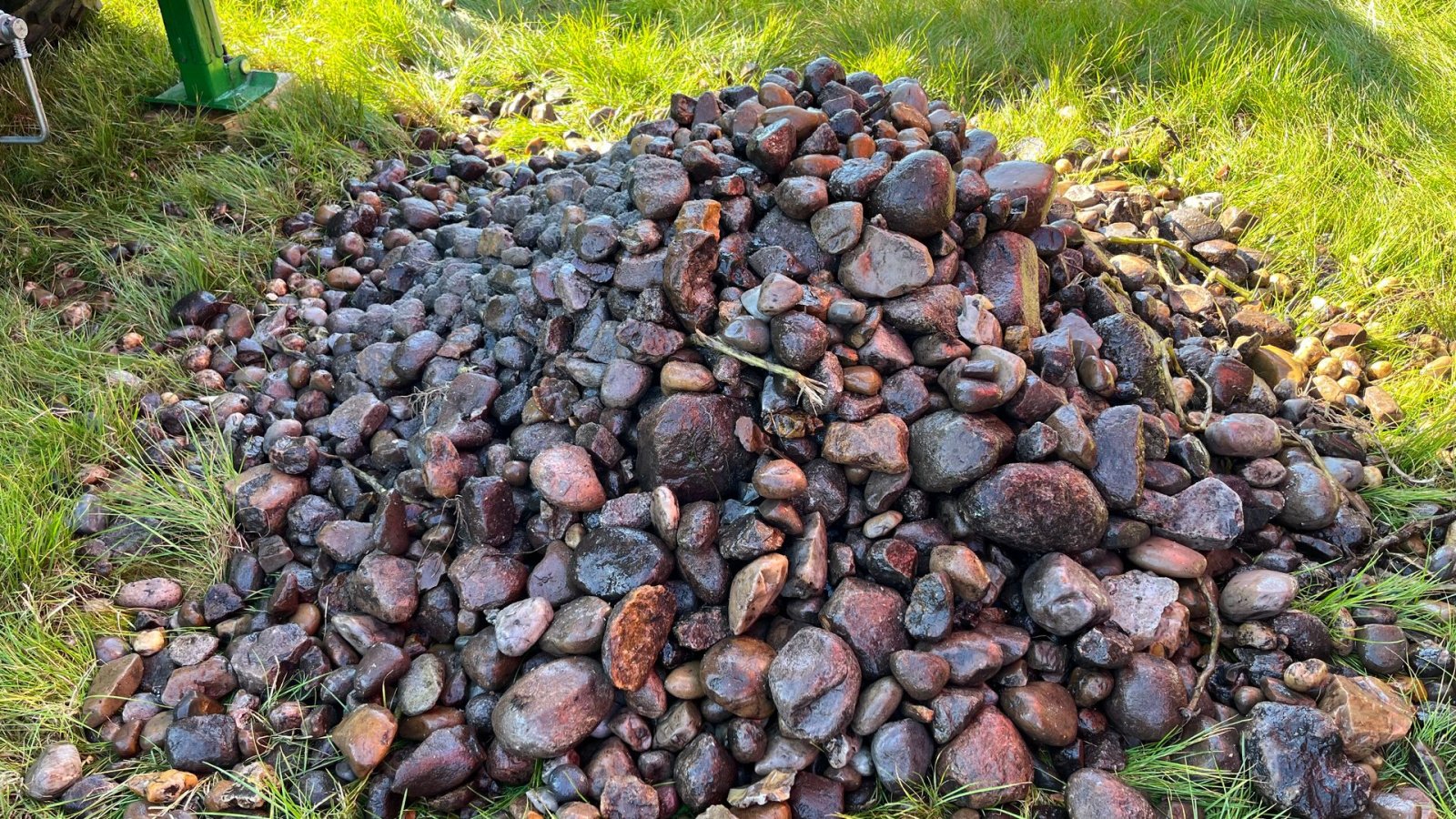 Sonstige Kartoffeltechnik tip Cross Crocodile Roe/kartoffel De-stonere og snittere op til 100 Ton/time, Gebrauchtmaschine in Løgumkloster (Poză 5)