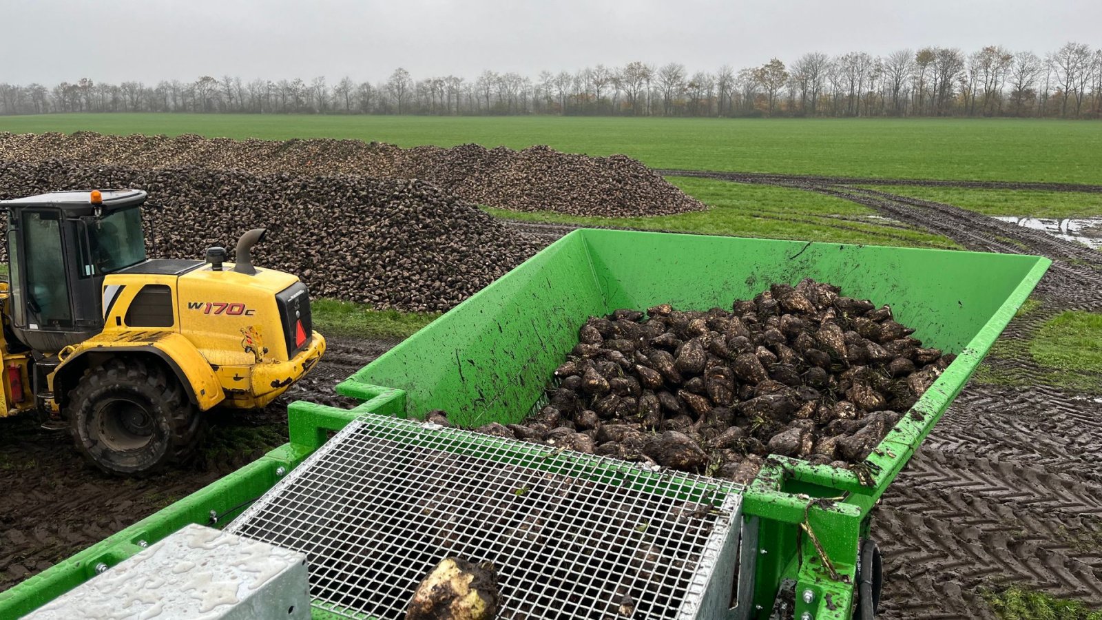 Sonstige Kartoffeltechnik типа Cross Elephant vaskere og snittere op til 100 Ton/timen, Gebrauchtmaschine в Løgumkloster (Фотография 23)