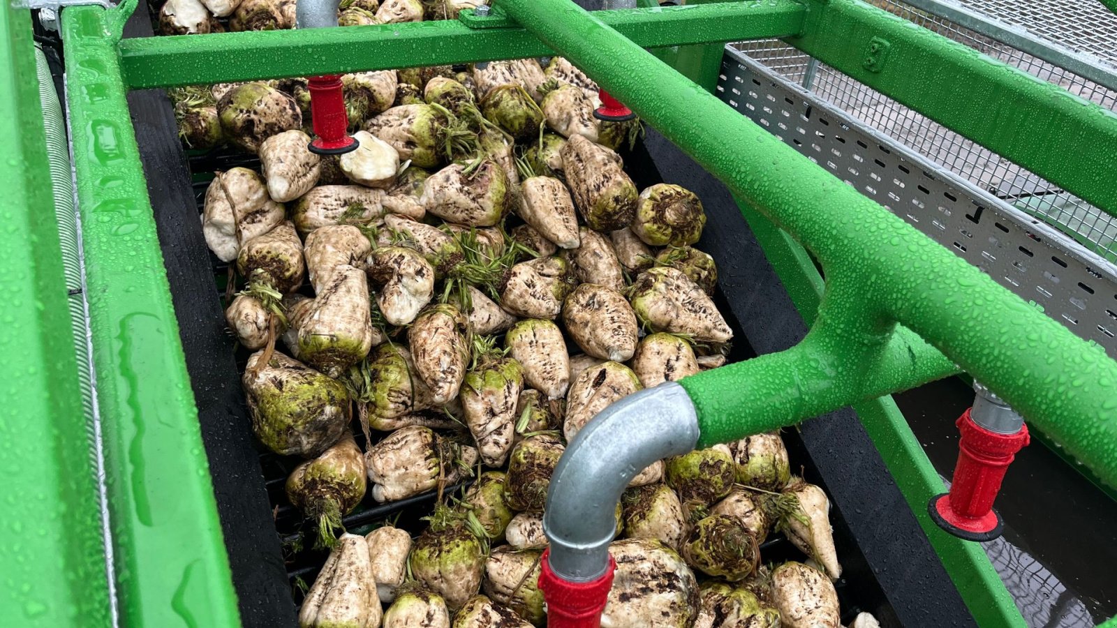 Sonstige Kartoffeltechnik des Typs Cross Elephant vaskere og snittere op til 100 Ton/timen, Gebrauchtmaschine in Løgumkloster (Bild 20)